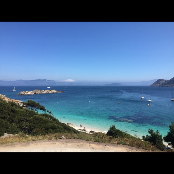 Meet your Posher, Mac - Picture 1 of 1